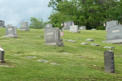 Cemetery-flags